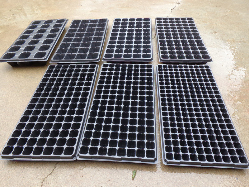 育苗盘 穴盘 32 50 72 105孔 花卉育苗盆 营养钵全新料寿命长