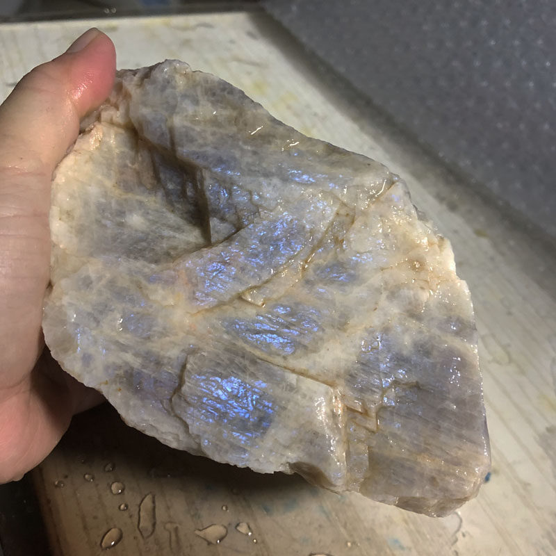 水玉冰魄天然月光石矿标毛料彩月月光长石原石手把摆件