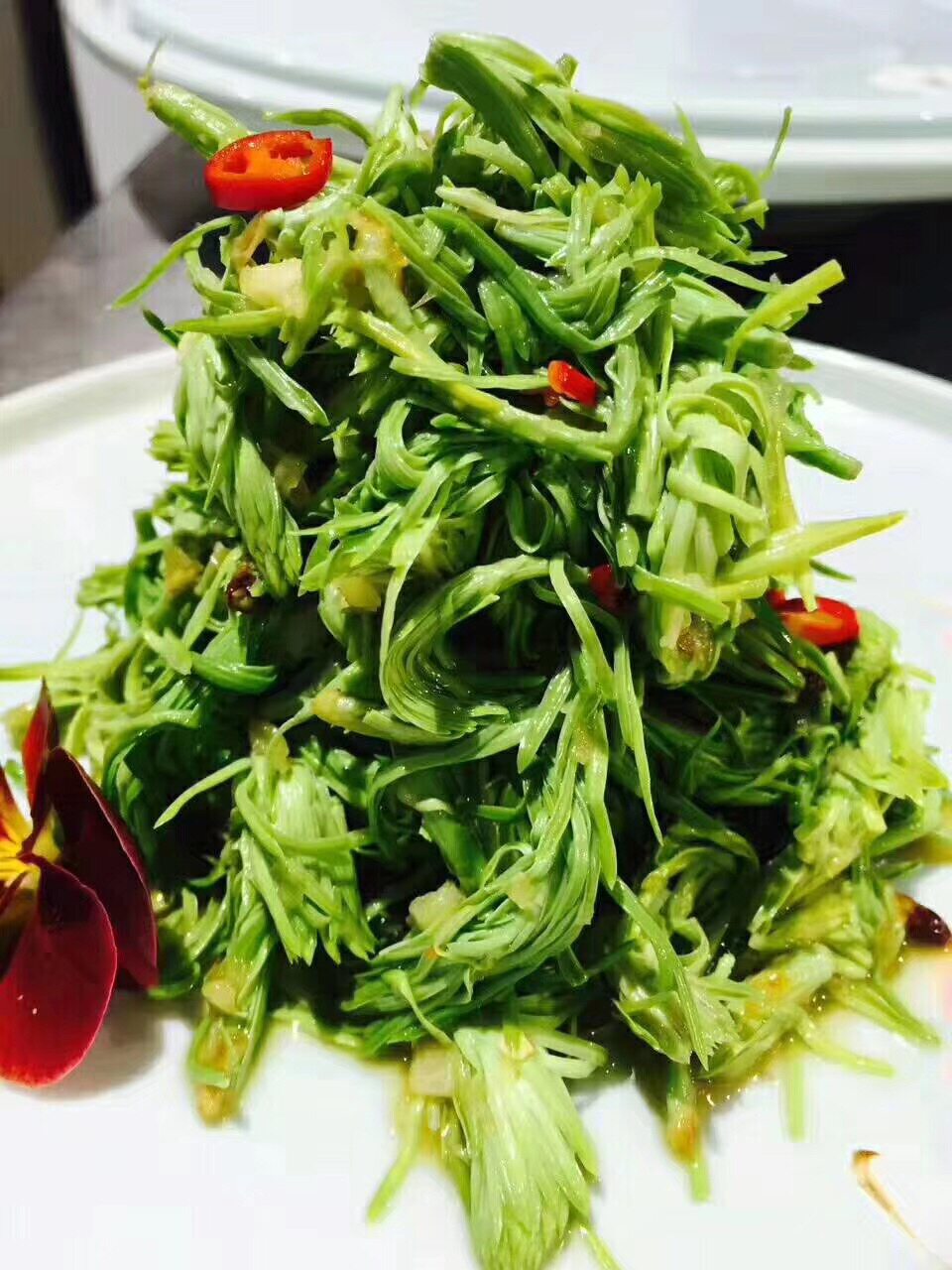 高山沙松时令野菜素菜凉菜2斤一袋1箱10袋其它