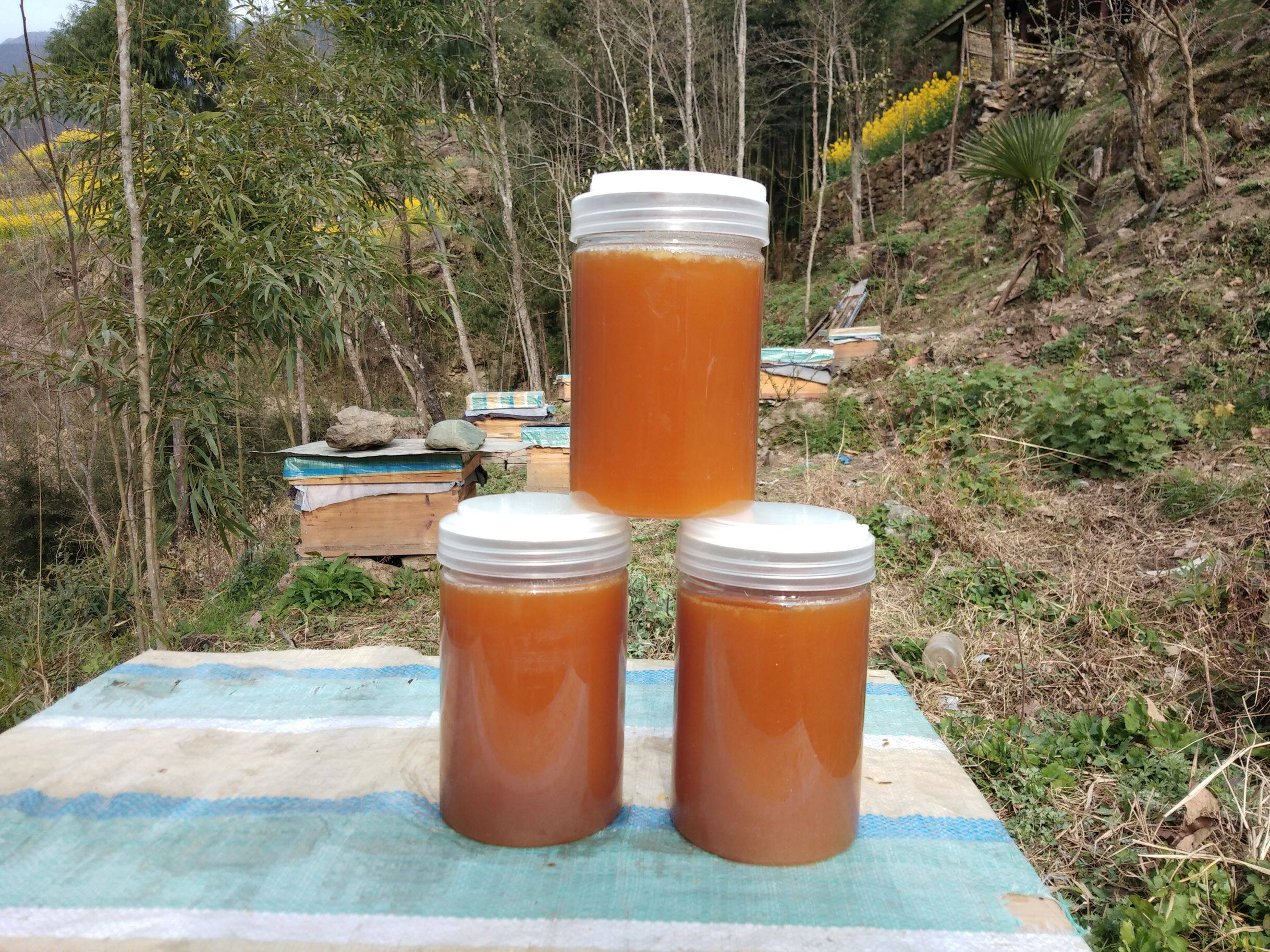 四川青川特产农家自产土蜂蜜纯正天然高山百花蜜结晶500g包邮瓶