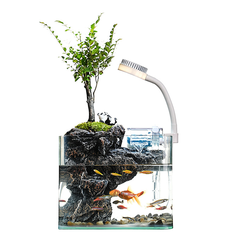 绿植小叶紫檀盆景流水摆件鱼缸过滤循环环水绿植