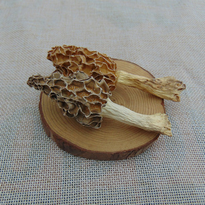 深山野生大别山特级菌羊肚菇蘑菇羊肚菌