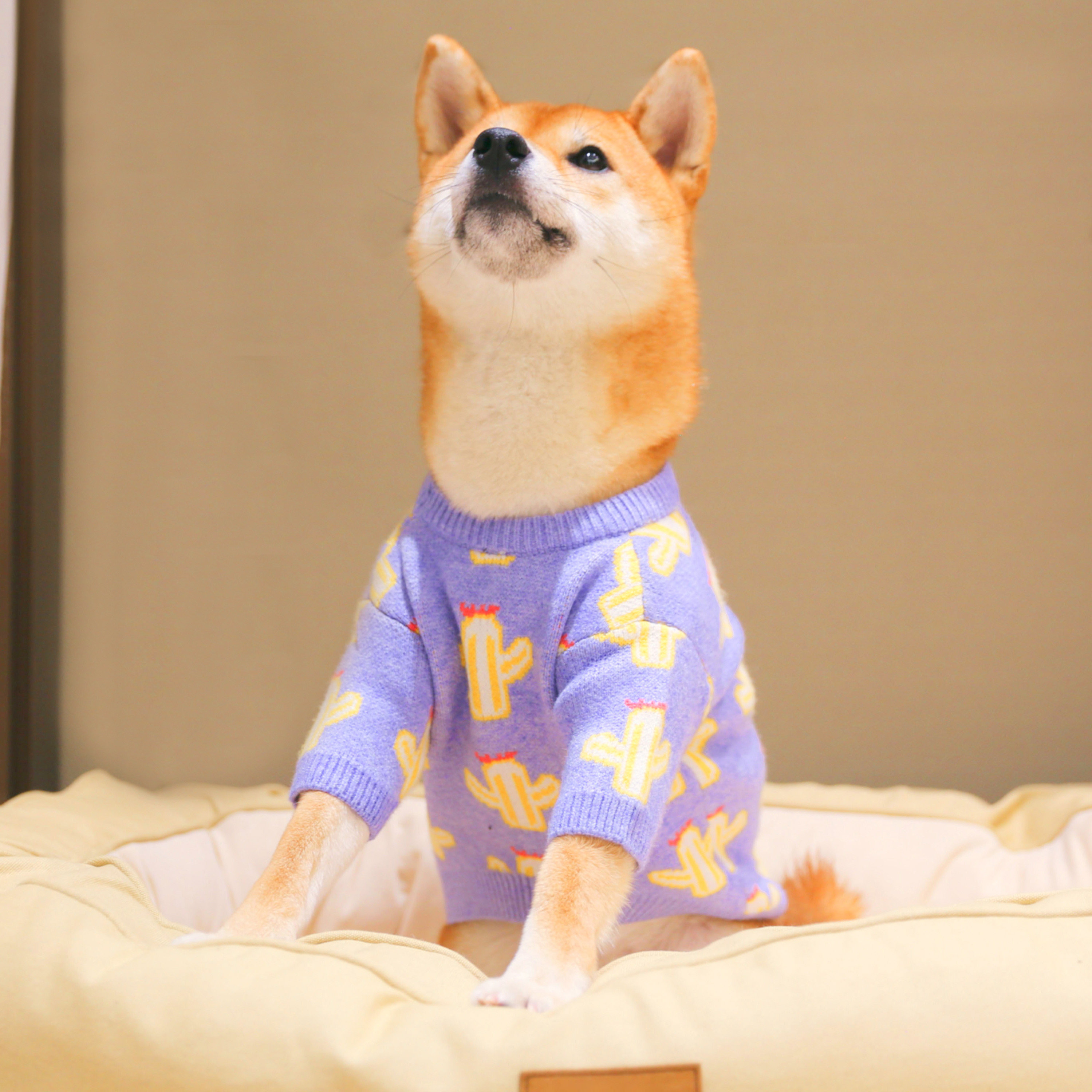 柴犬秋冬毛衣网红狗狗可爱衣服套头针织衫保暖宠物服装