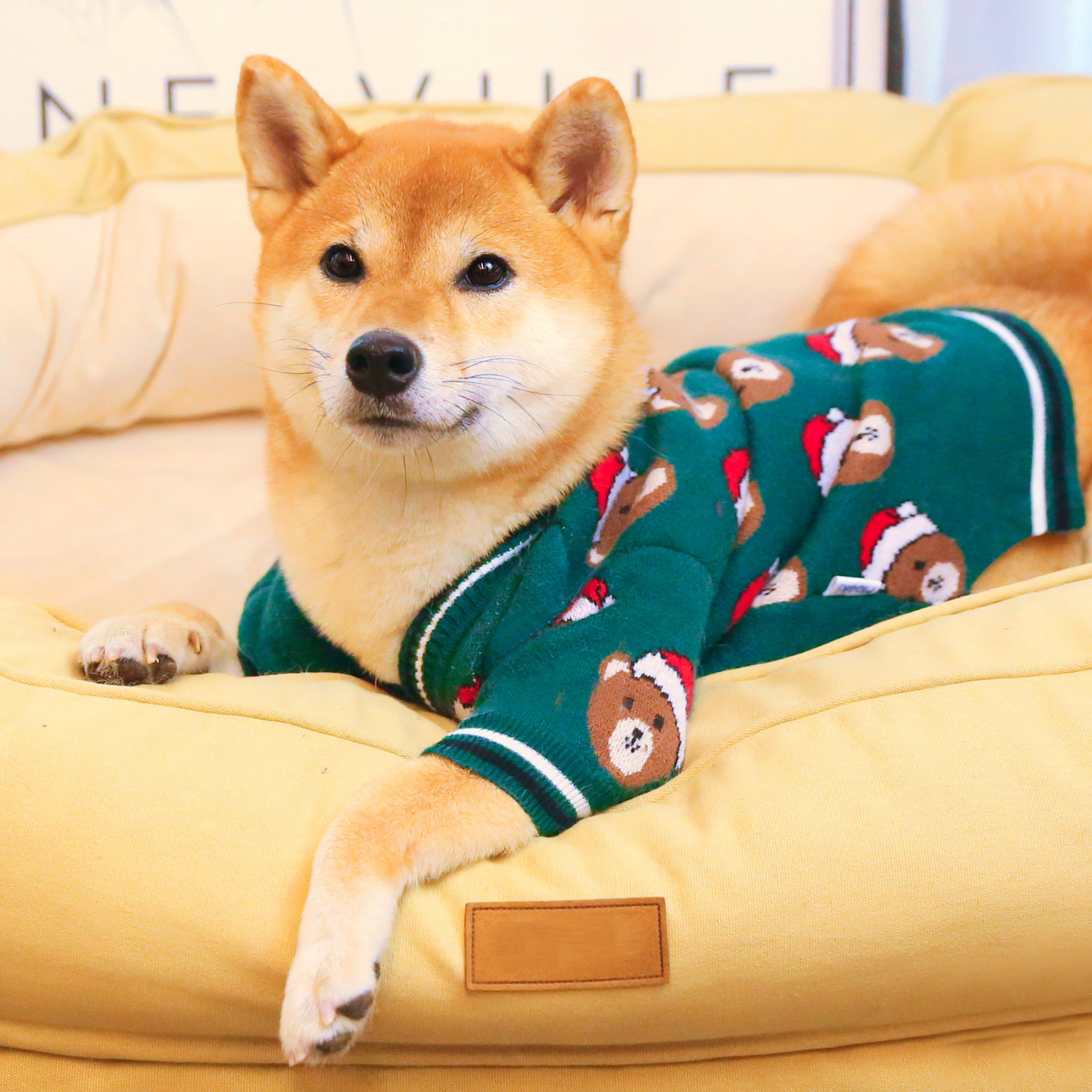 柴犬毛衣喜庆过节大红拜年新年秋冬衣服可爱狗宠物服装