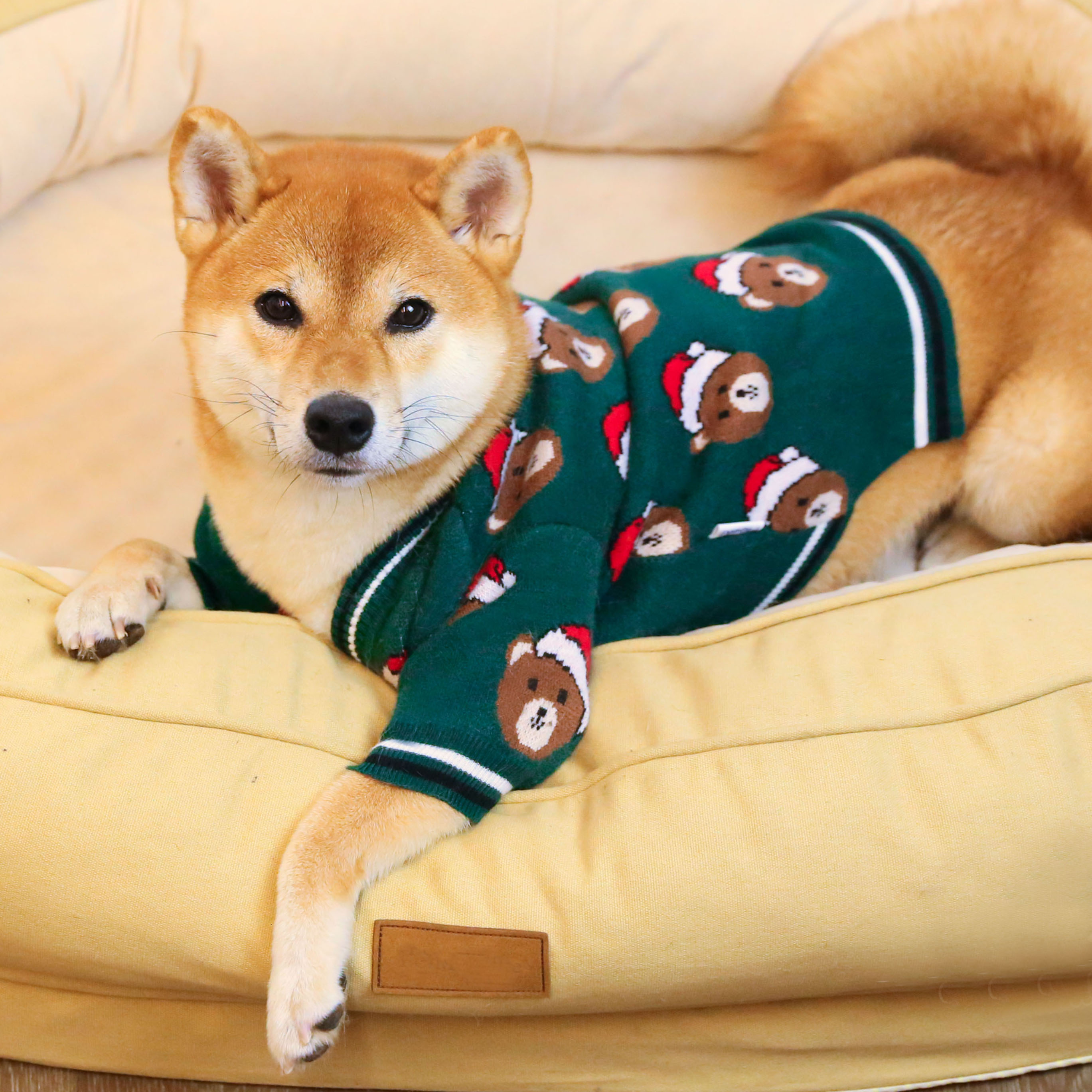 柴犬毛衣喜庆过节大红拜年新年秋冬衣服可爱狗宠物服装