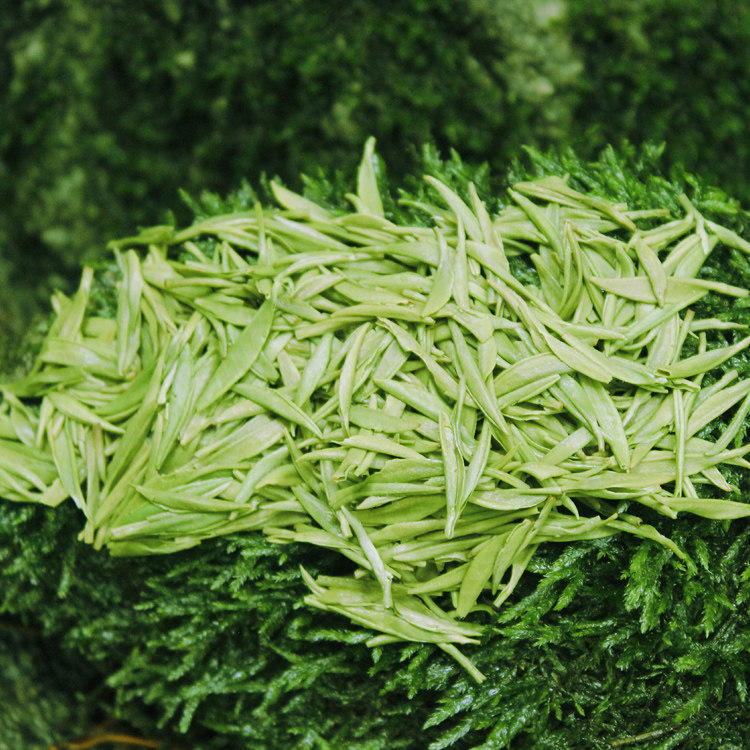 信阳毛尖绿茶2018新茶春茶明前特级嫩芽自产自销散装炒青茶叶250g