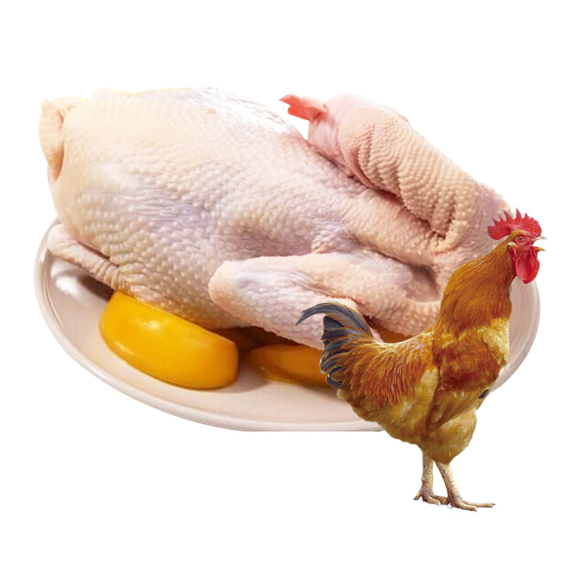 大别山高山农家散养2年土鸡公鸡鸡现新鲜草鸡整鸡