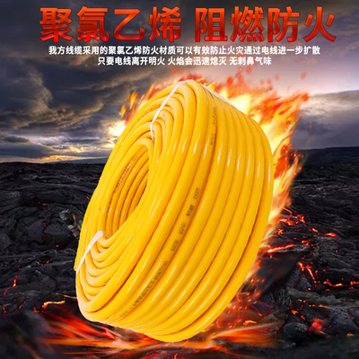 防冻防水电源线国标2.5 4 1.5平方二芯电线电缆线护套线家用软线