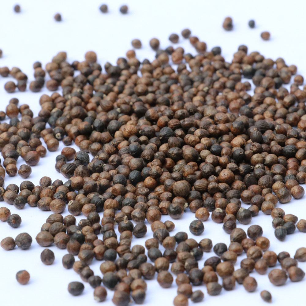 黄荆枕头填充布惊仁布惊布荆黄金子金子布惊籽枕料枕头