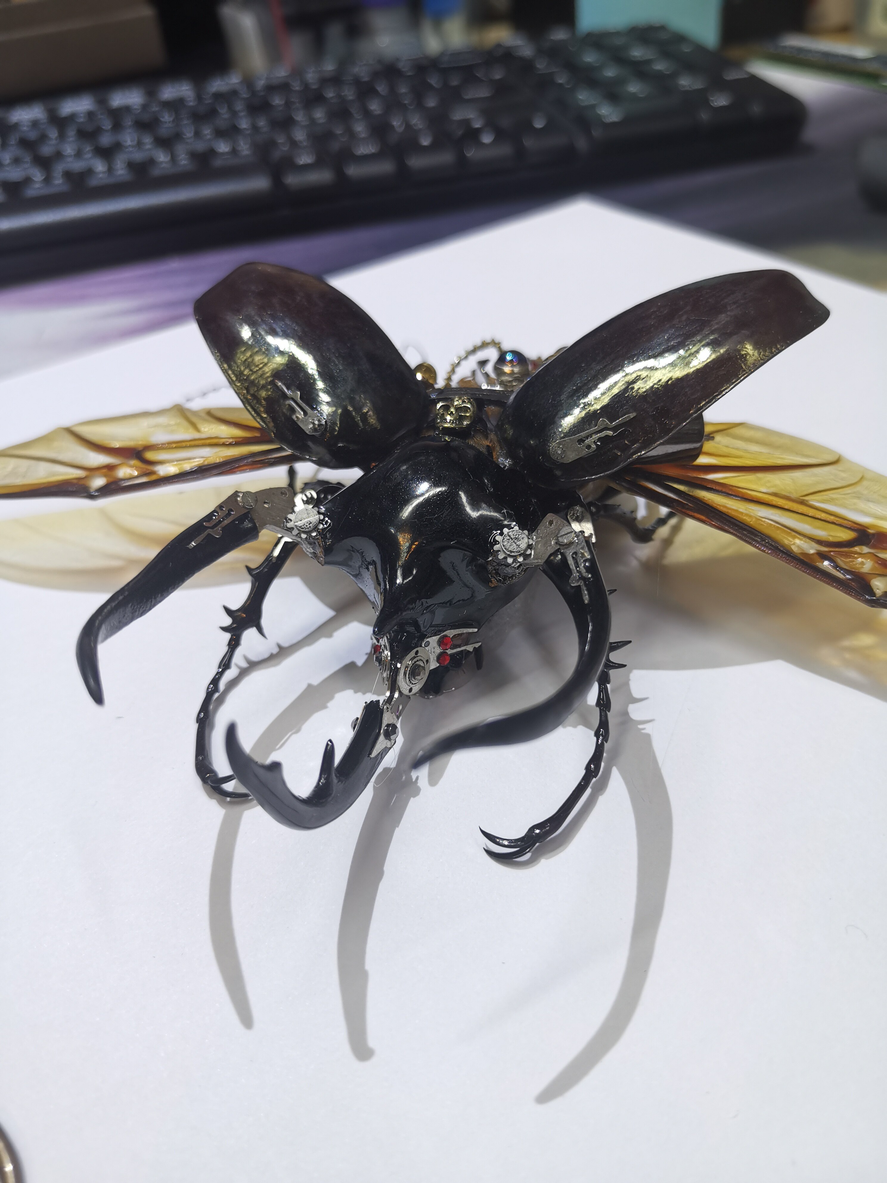 蒸汽朋克甲虫标本南洋大兜个性创意手工摆件摆件