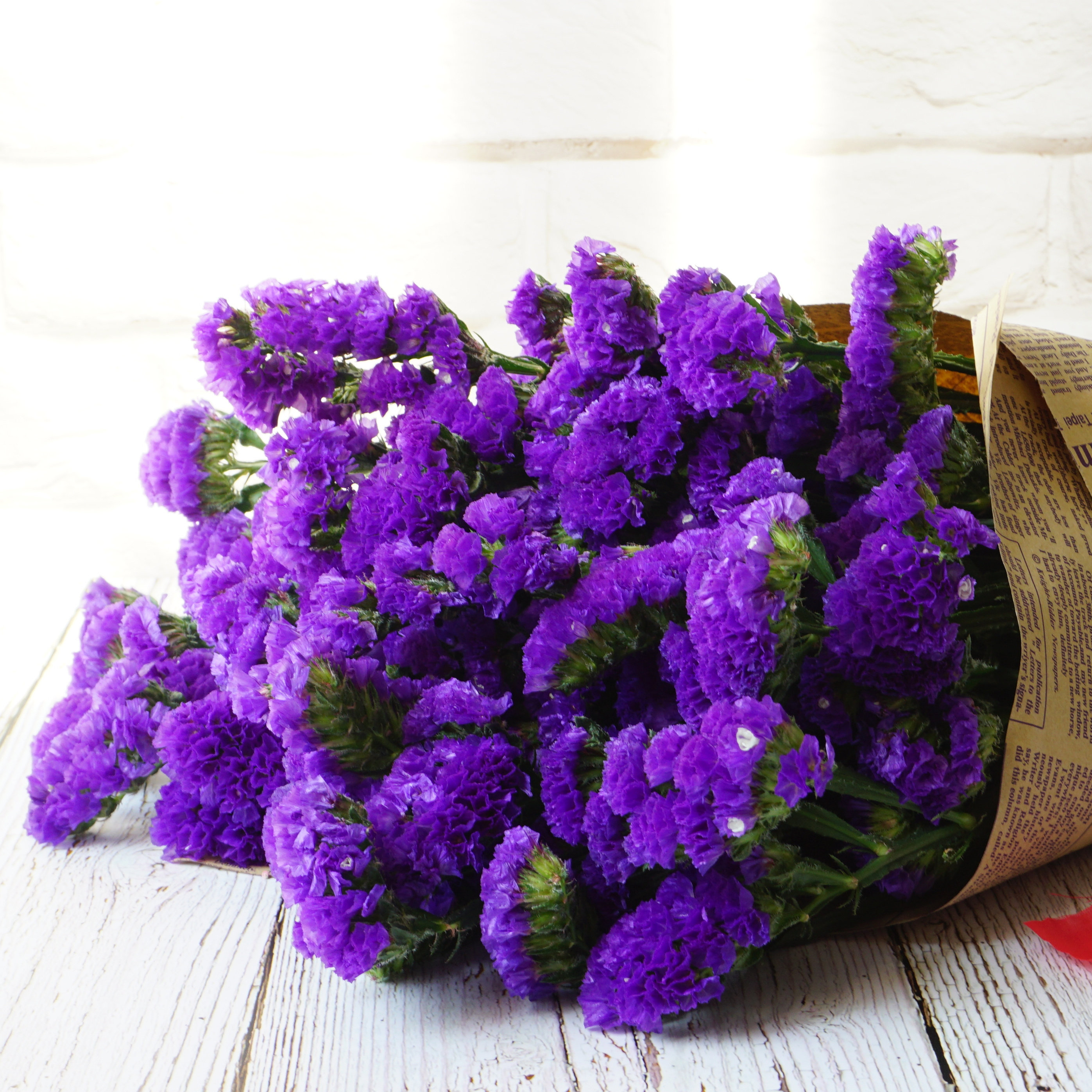 云南干花花束小清新家居摆设装饰勿忘我鲜花长款中秋送礼两件包邮