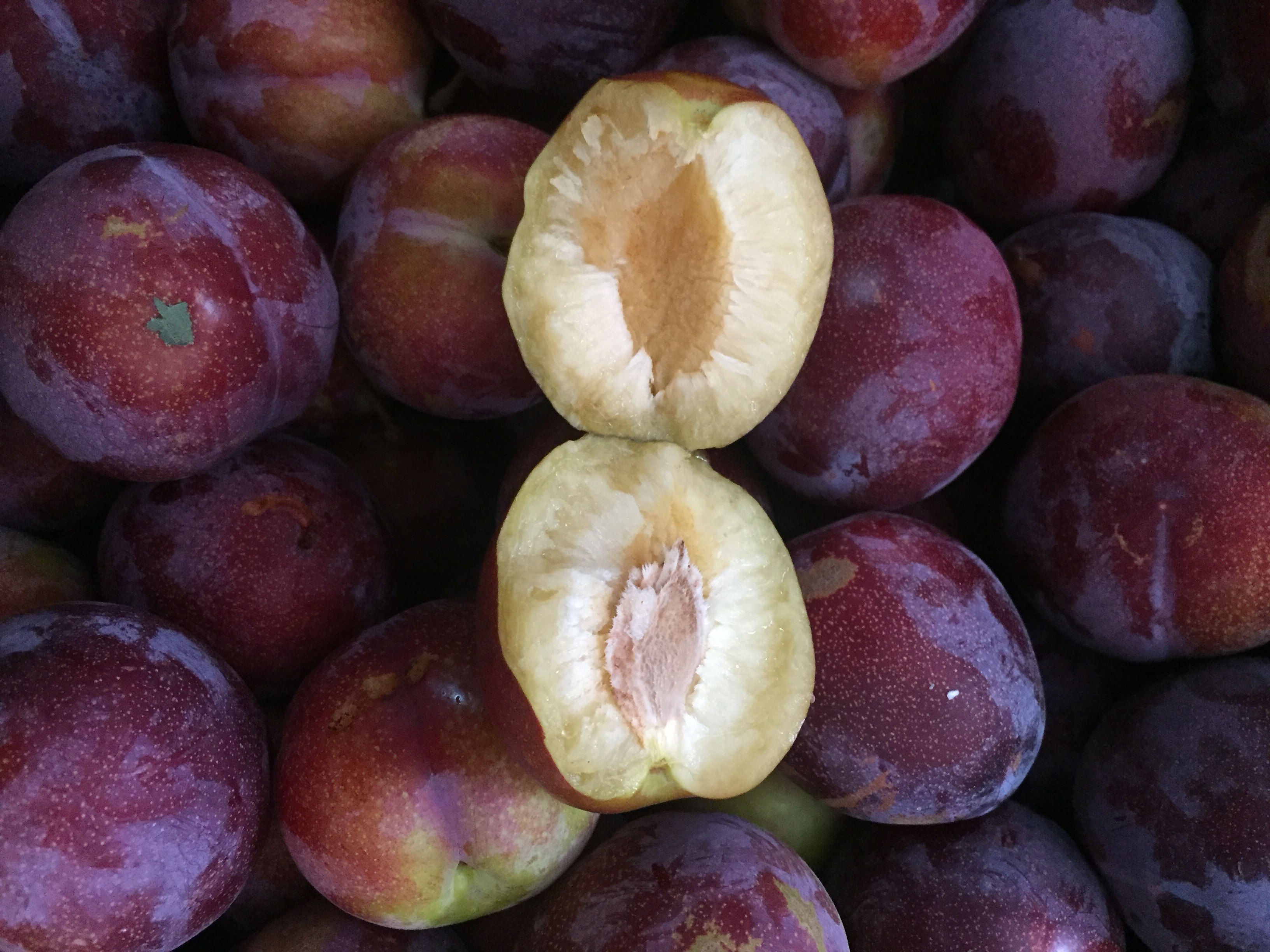 李子东北干核大红红袍干碗当季水果5斤装多省李子