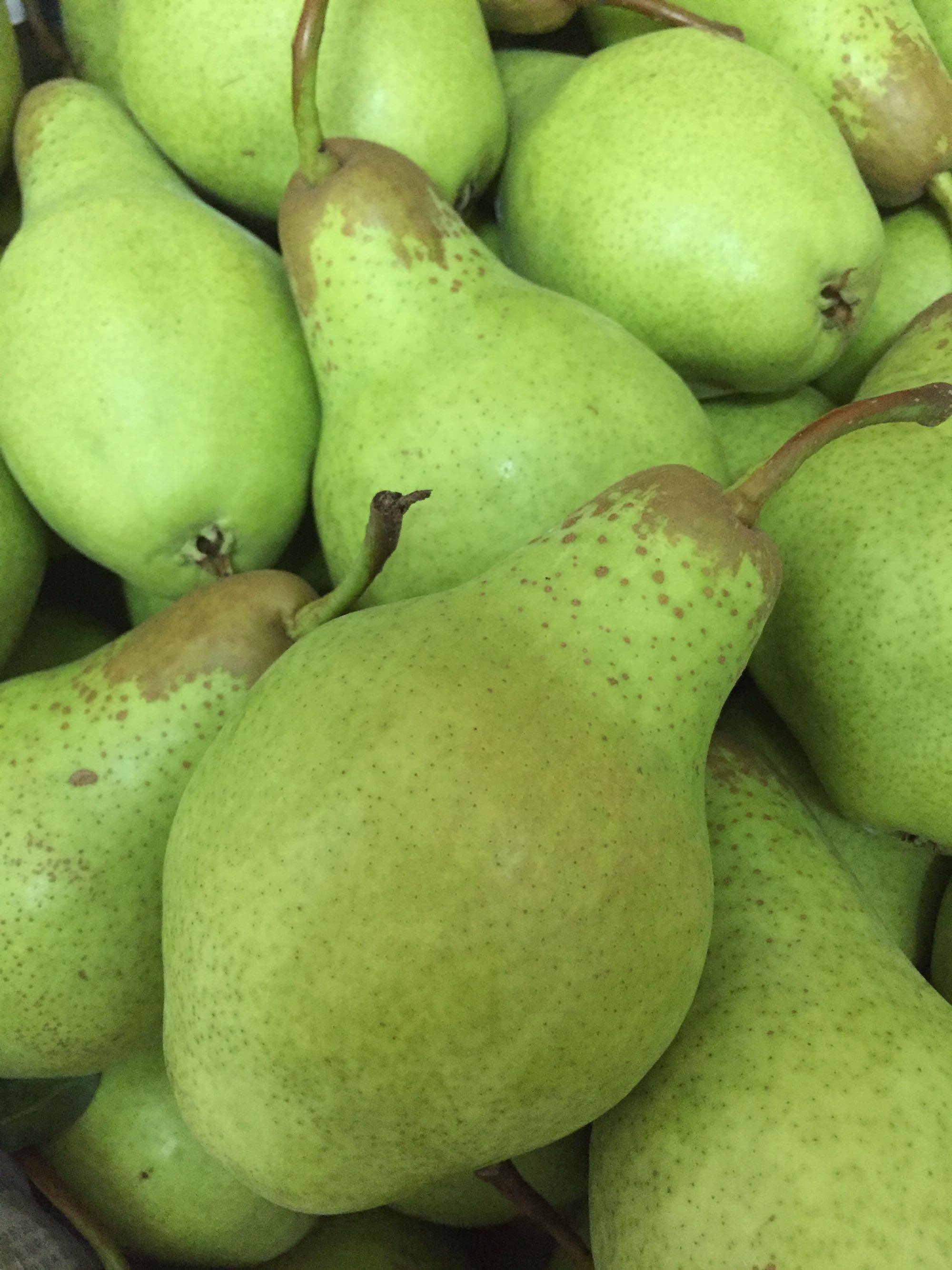 东北茄梨大头香蕉太婆特产啤梨把10斤包邮梨