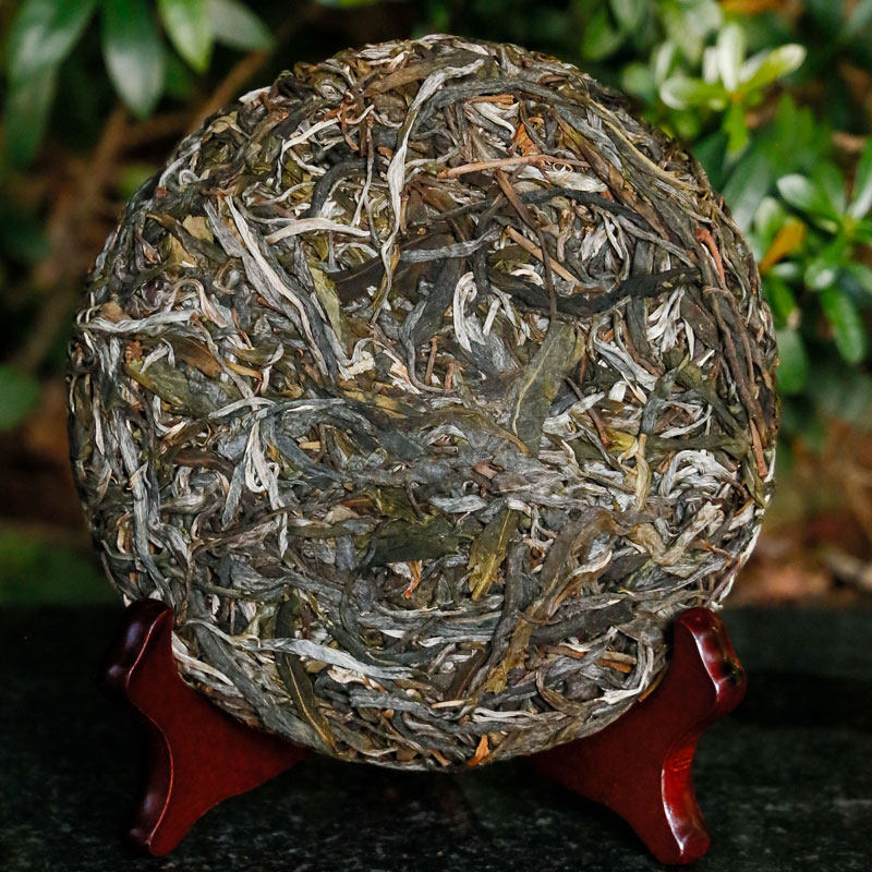 2022年龙潭箐超微小产区古树单株普洱茶春生茶饼普洱