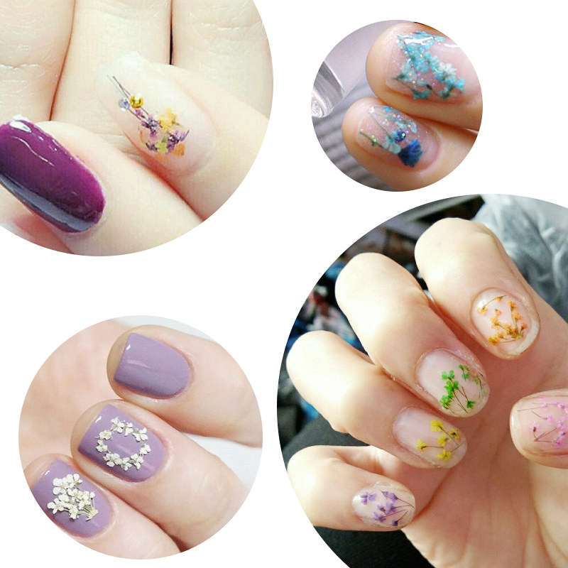 美甲干花饰品 指甲贴花 大干花 小干花 立体12色真花36朵盒装