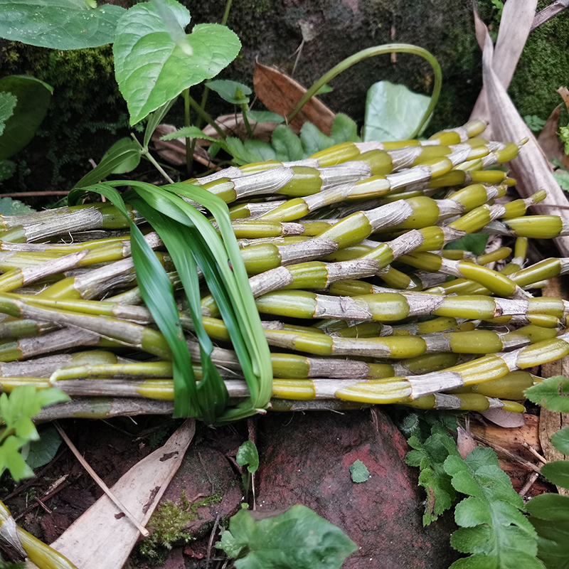 新鲜2斤半斤正宗赤水金钗石斛鲜条5年老条石斛