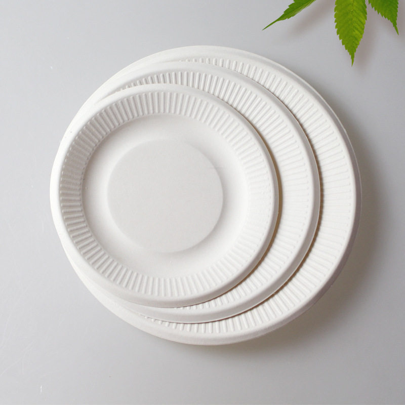 纸盘盘子一次性纸碗蛋糕纸浆10个环保绘画画纸可降解餐具