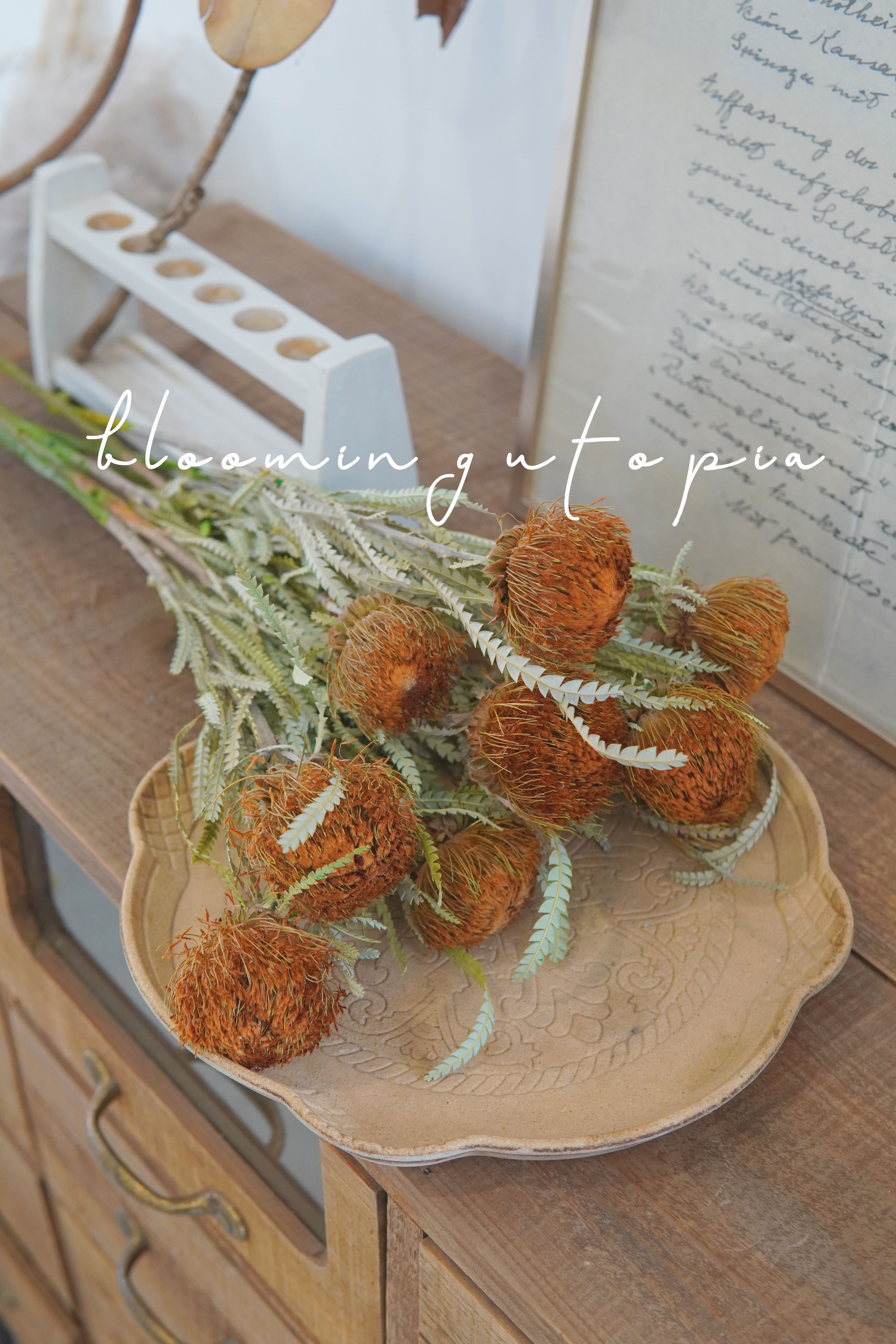 南非进口山茂坚干花永生花佛塔民宿简约装饰拍照干花