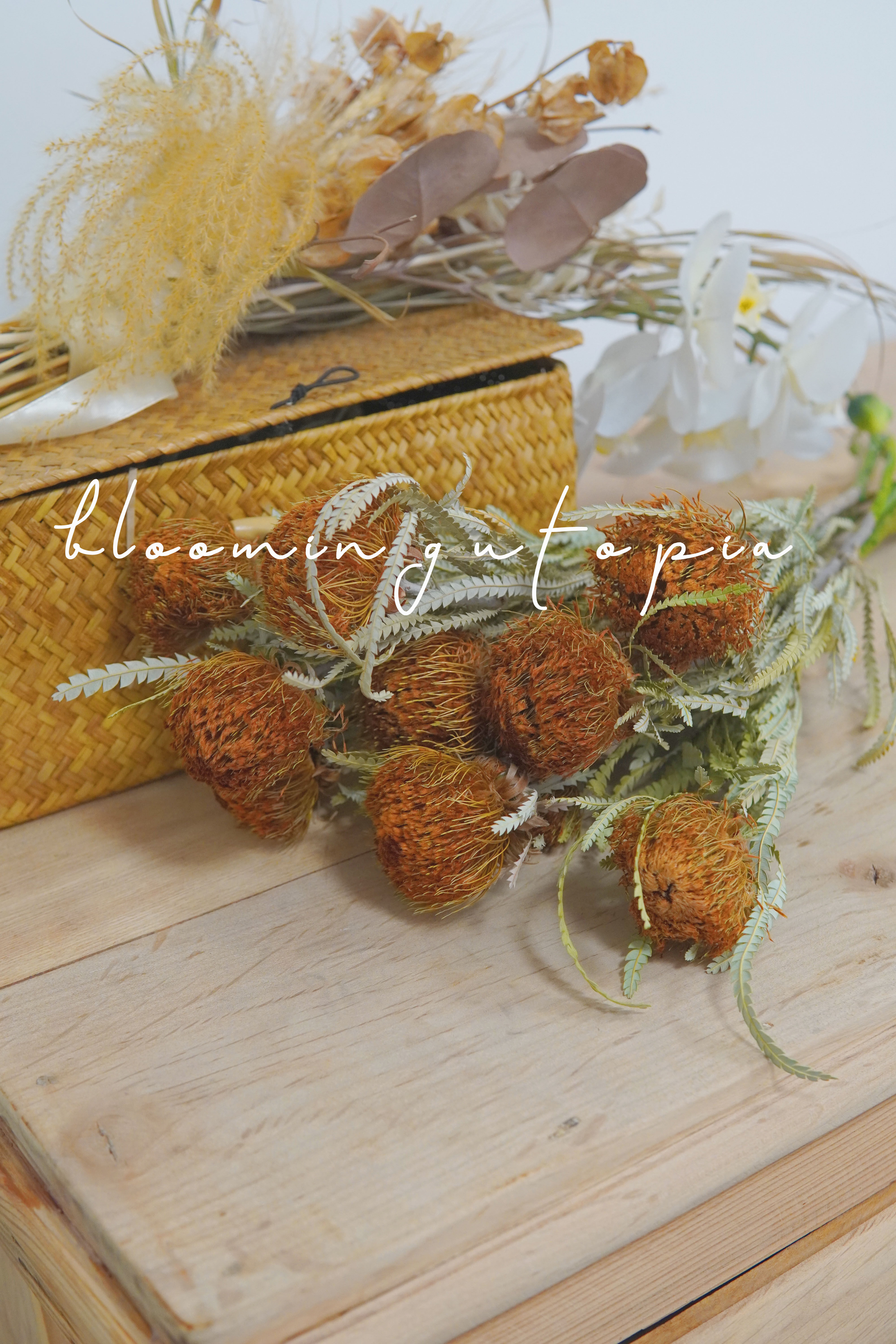 南非进口山茂坚干花永生花佛塔民宿简约装饰拍照干花