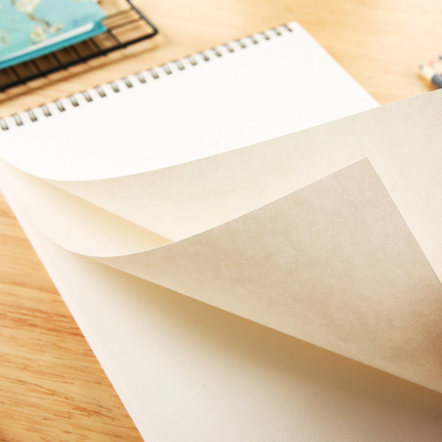 晨光文具逐梦双线圈a4空白图画纸