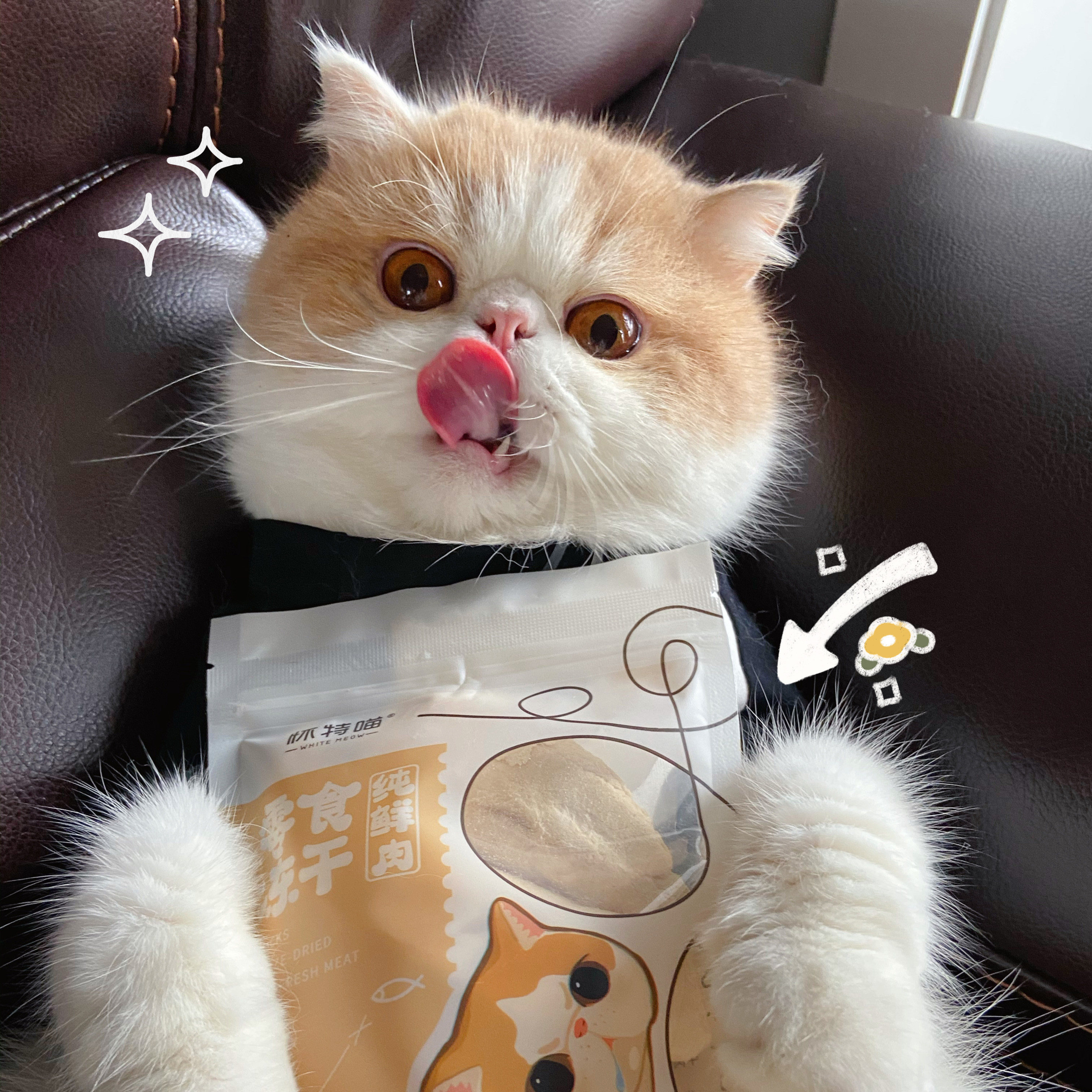 怀特喵先生 猫咪零食冻干猫粮幼猫小鱼干鸡肉鹌鹑营养增肥发腮 - 女性