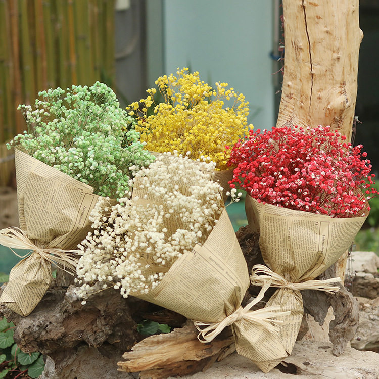 满天星天然风干干花花束小清新干枝条家居装饰客厅干花