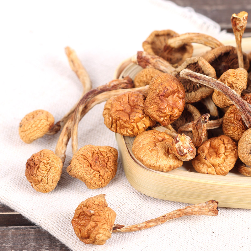 东北大兴安岭菌菇滑子蘑蘑菇干货特产滑子菇黄蘑菇2件包邮500g