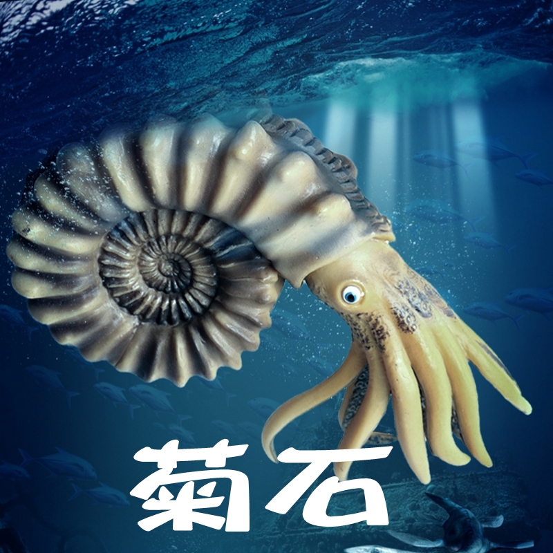 儿童玩具远古海洋生物菊石鹦鹉螺模型仿真动物手办