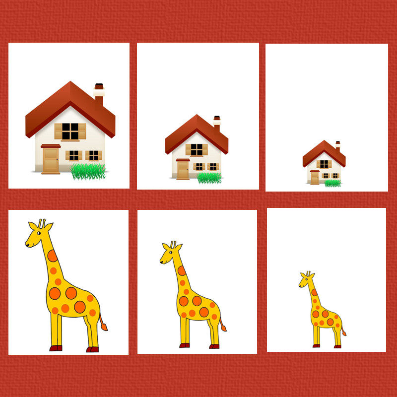 儿童大小高矮长短比较卡片早教认知益智自闭症玩具挂图