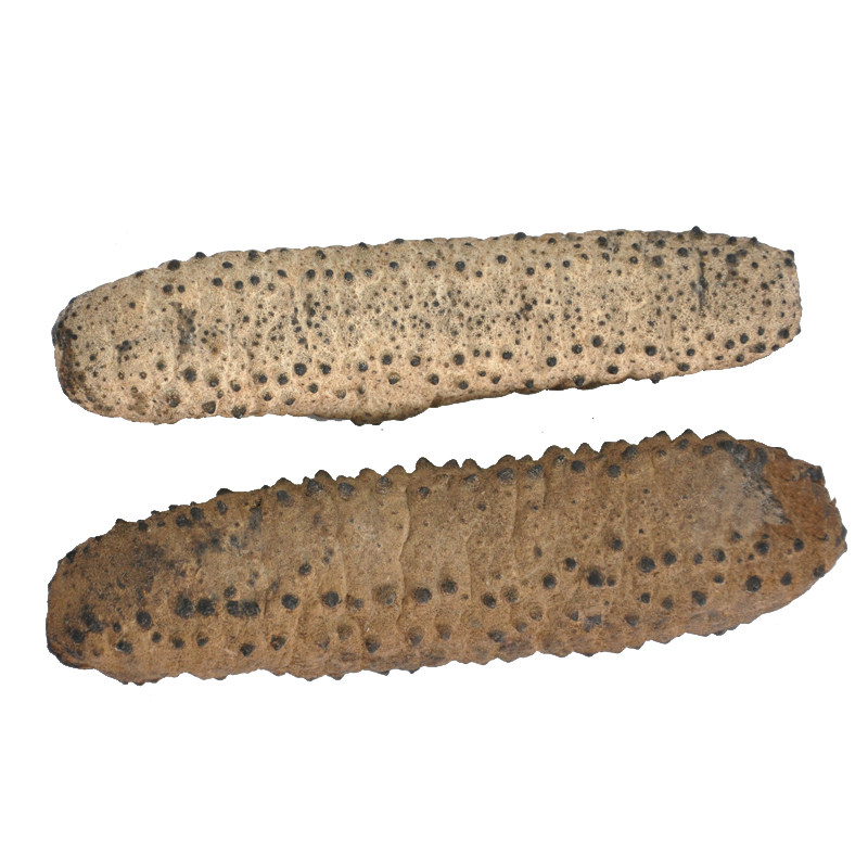 黄玉参猪仔黄澳洲进口深海野生海参淡干海产品非大连辽参250克