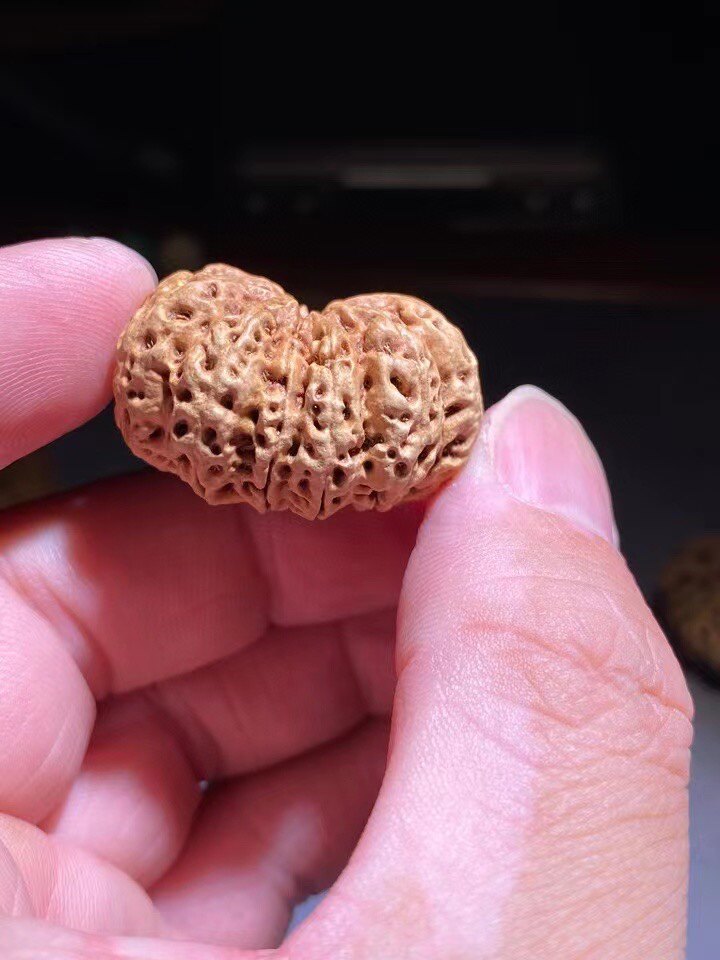 10瓣11瓣12瓣13瓣多瓣单颗尼泊尔尺寸元宝鸟巢菩提