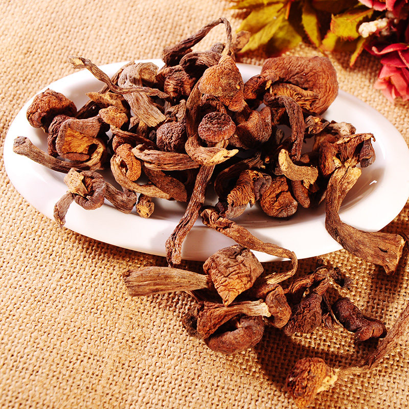 东北特产野生榛蘑菇500g大兴安岭特级天然小蘑菇煲汤食用菌非香菇