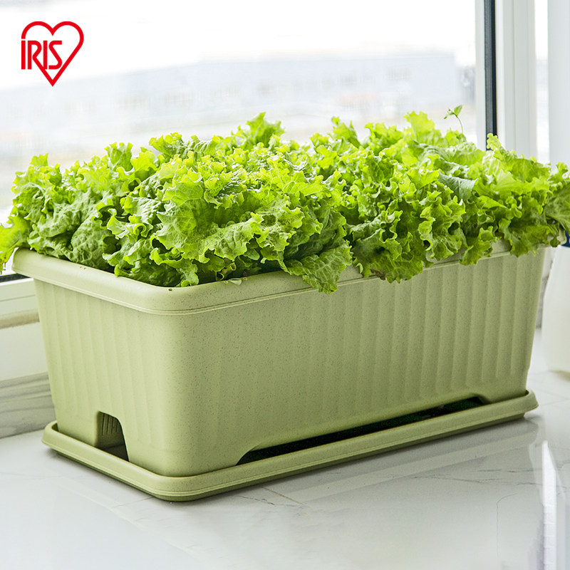 爱丽思阳台种菜盆,让家庭种植更简单