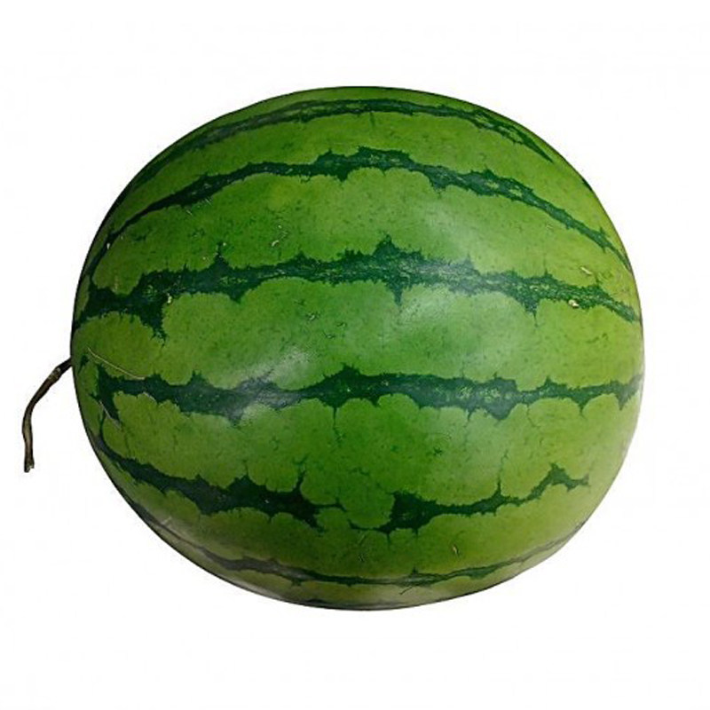 懒汉地雷王大西瓜种子西瓜苗秧培育甜度中熟高产蔬菜种孑种籽