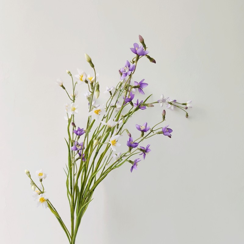 花材仿真韭莲线状高仿逼真豆苗型线莲科自然装饰仿真花