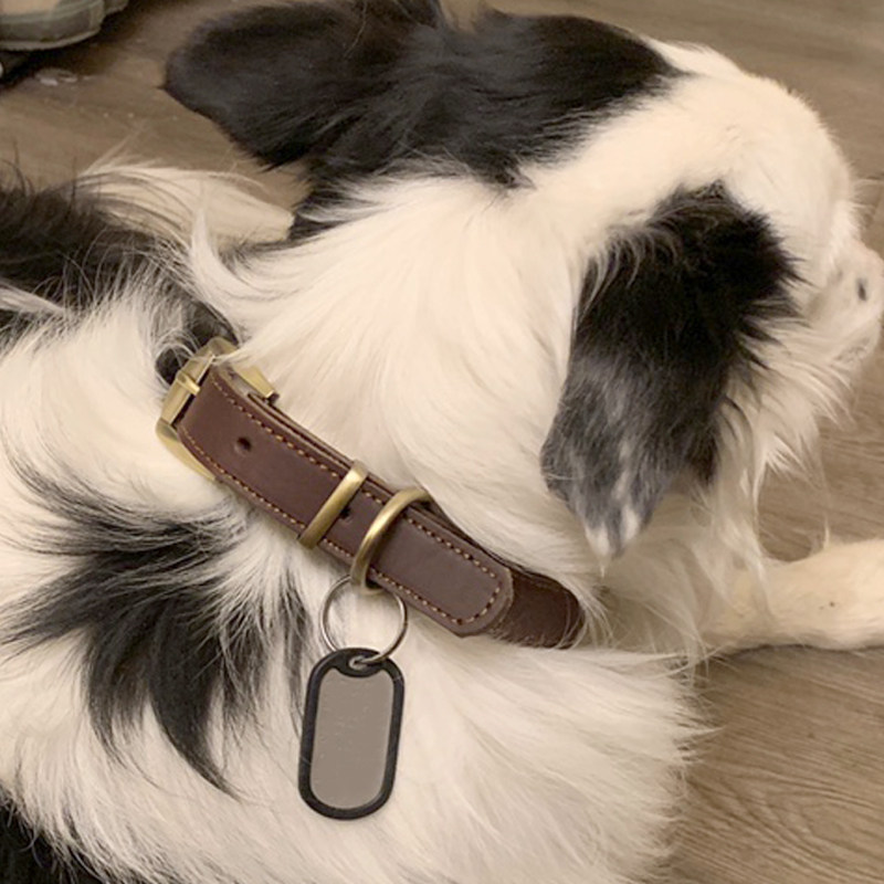 狗狗牛皮项圈狗脖圈中型大型金毛马犬德牧颈圈项圈