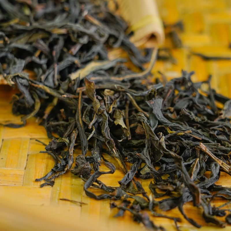 凤凰单丛茶叶高山老枞鸭屎香春茶潮州工夫茶叶潮州山哥推荐