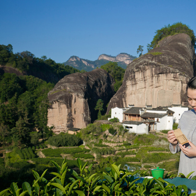 2021年手工马头岩肉桂武夷山正岩茶大红袍肉桂500克装