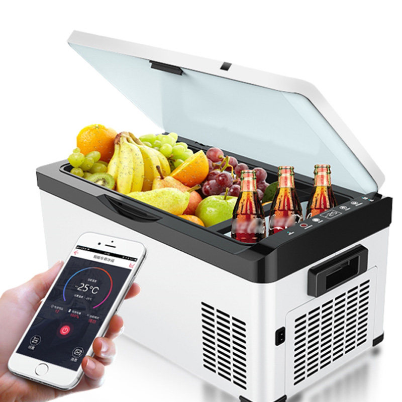 医药干扰素车载冷冻冷藏疫苗恒温人肉重组赫赛车载冰箱