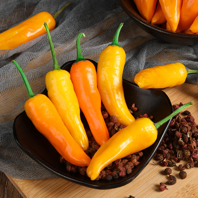 福建永安黄椒新鲜辣椒小黄魔鬼特辣变态朝天辣椒