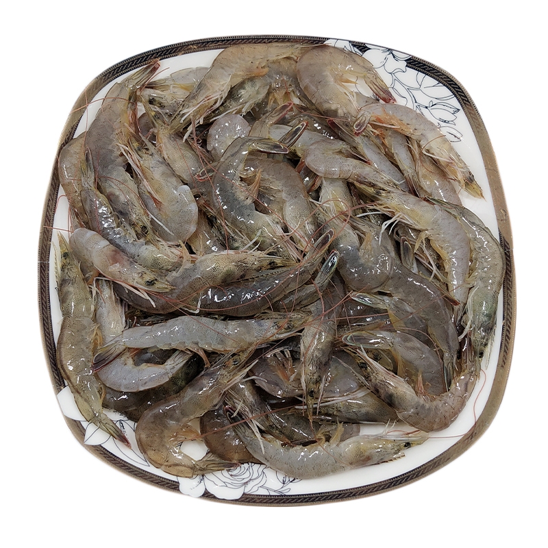 海虾鲜冻小海干煸小炒小虾鲜活速冻纯虾净重冻虾