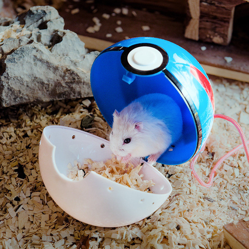 萌主驾到 仓鼠刺猬外带球玩具用品宠物精灵球金丝熊外出携带跑球