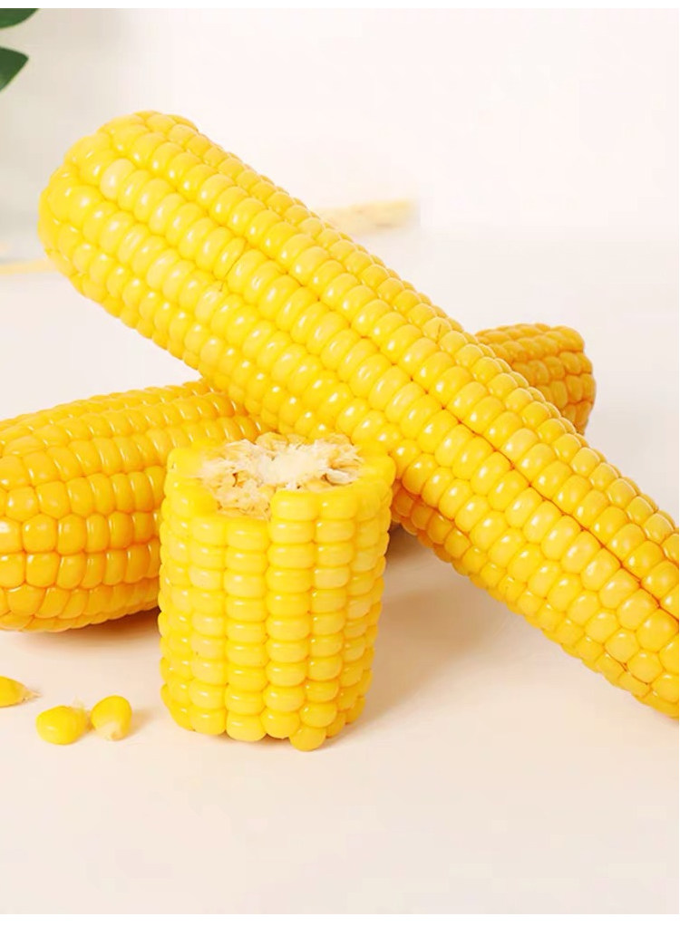 新鲜玉米玉米棒东北农家甜糯速冻小玉米10支装玉米