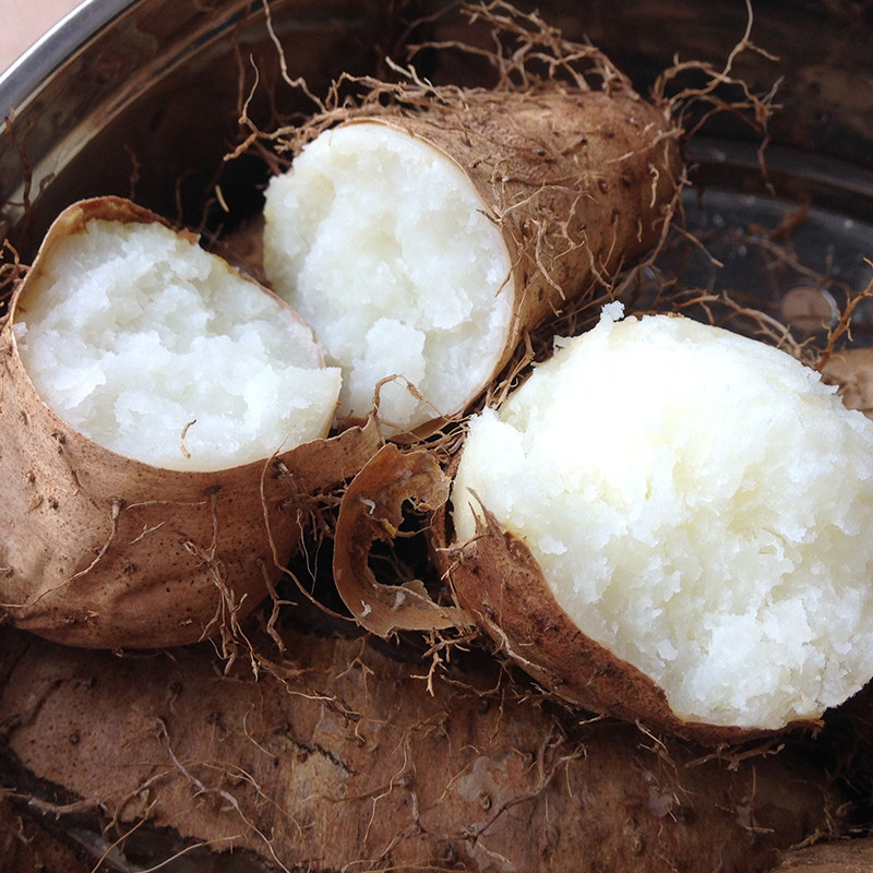 湛江新鲜毛薯 脚板薯 参薯香甜粉糯番贡薯特产 野山药蛋5斤包邮