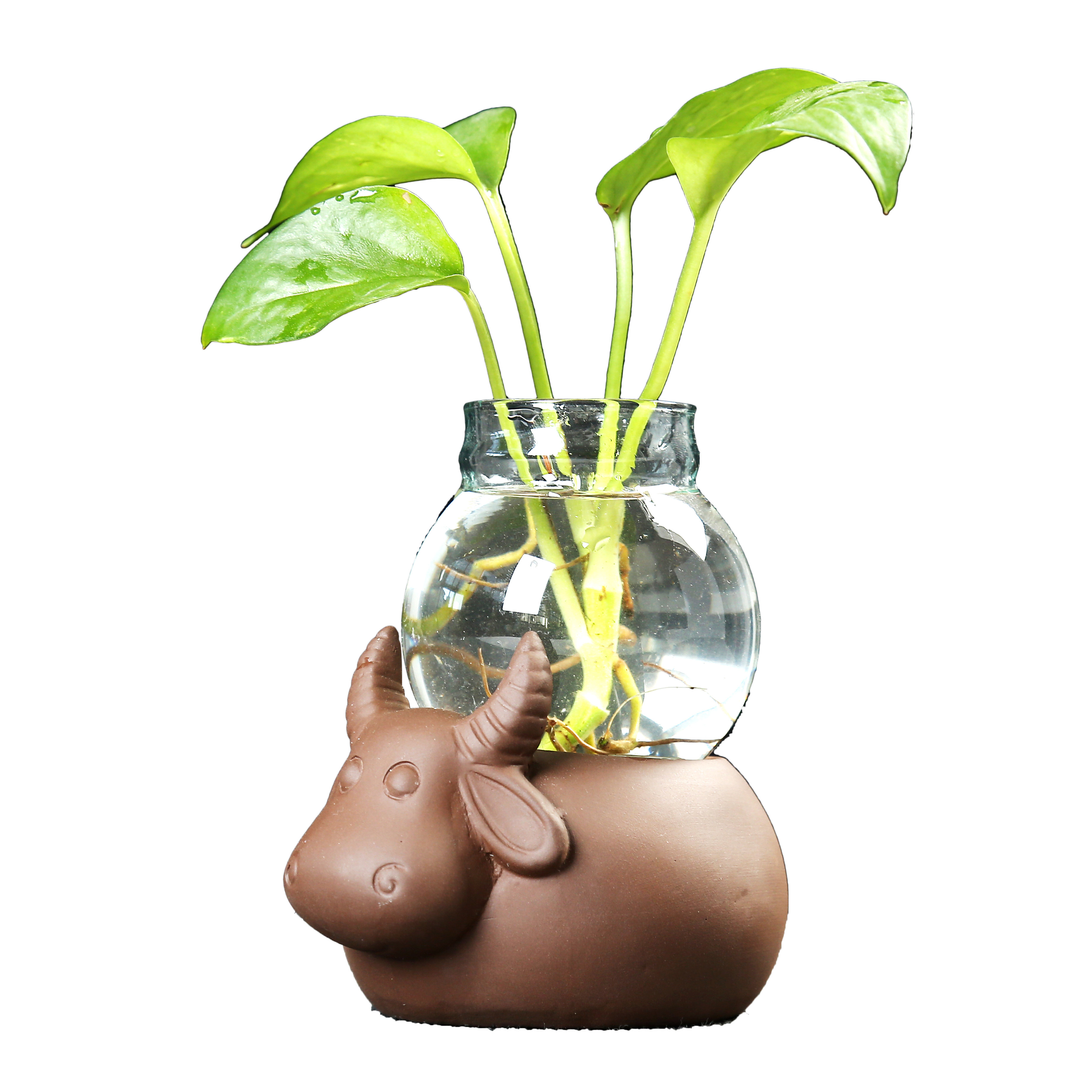 抖音同款十二生肖陶瓷动物卡通玻璃水培花瓶透明花瓶