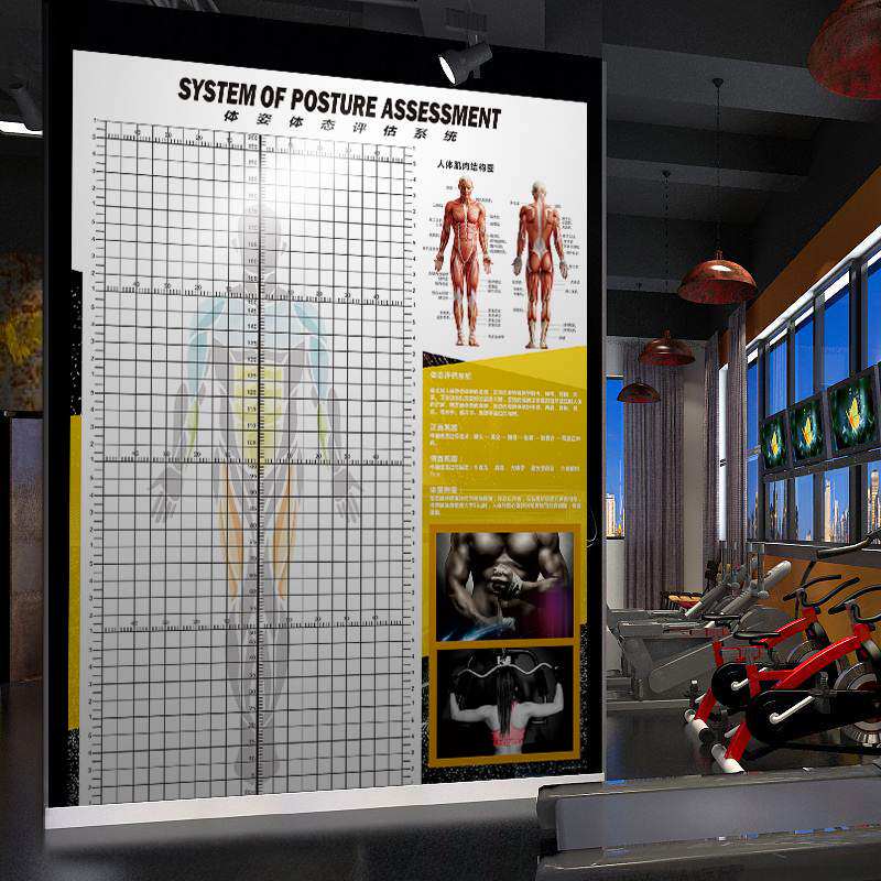 体态评估表健身房壁纸画瑜伽馆中医工作室人体站姿体测图体姿表格