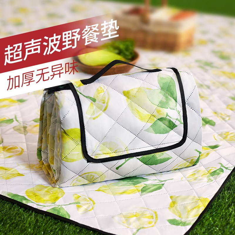 野餐防潮垫户外露营加厚沙滩防水防沙地垫帐篷防潮垫