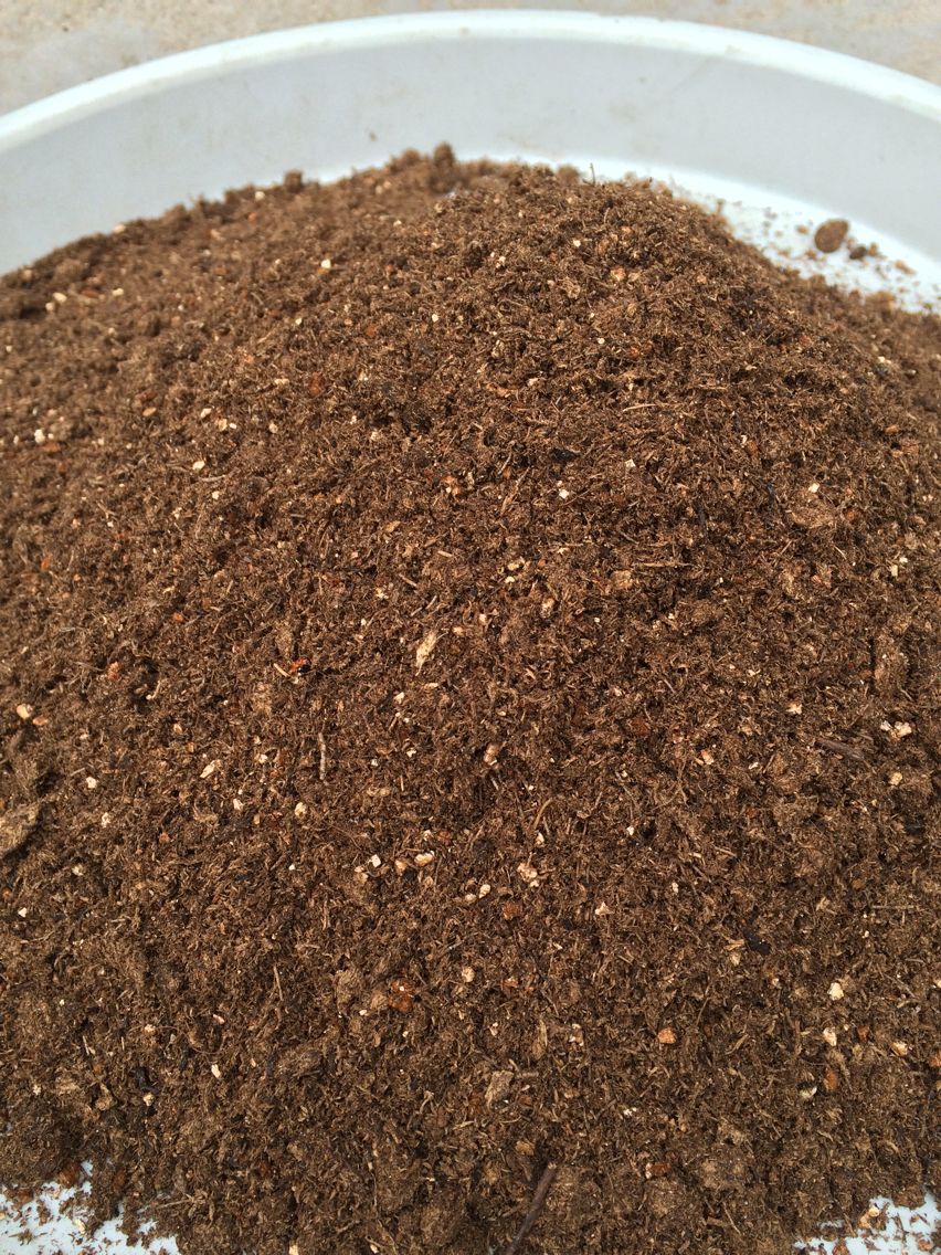 根据地多肉 进口品氏泥炭土 蛭石 多肉植物土 播种土 营养土