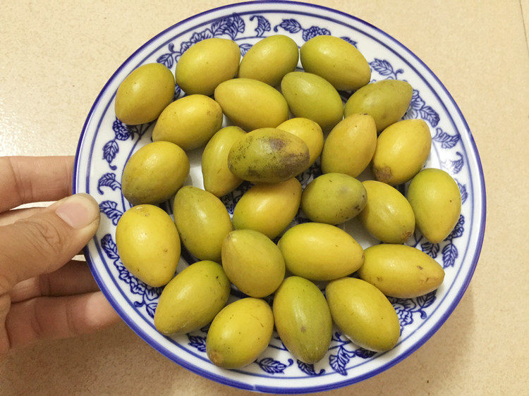 潮汕外公 现摘新鲜青橄榄青果500g火夫埠黄榄白榄孕妇水果 包邮 - 爱