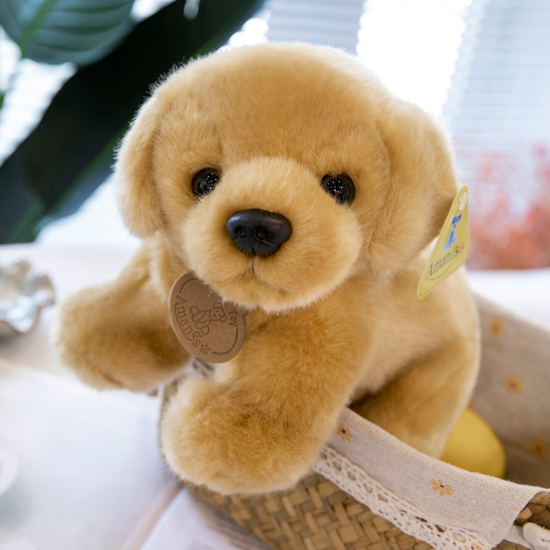 amangs金毛玩偶毛绒玩具狗狗公仔仿真小狗布娃娃女生毛绒布艺类玩具